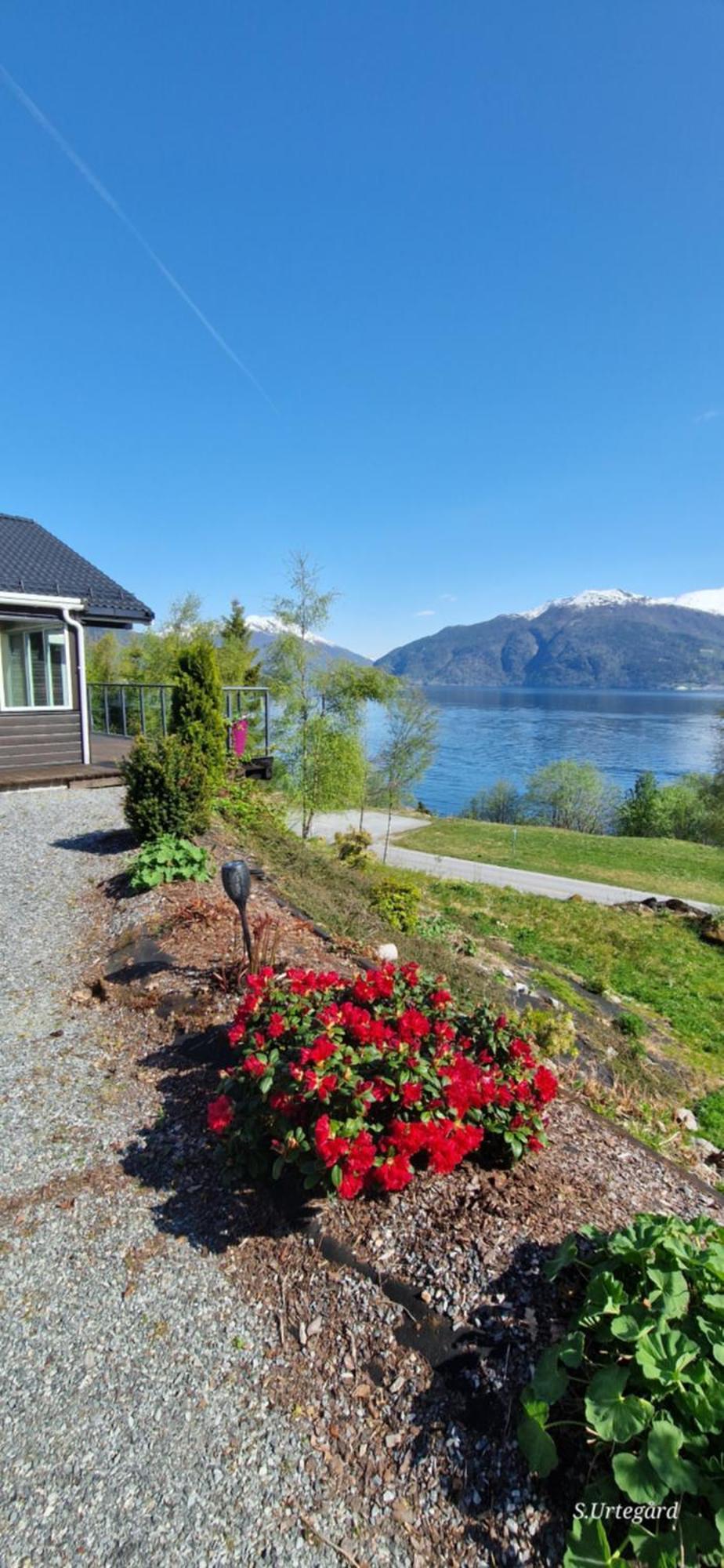 Villa Frydenlund à Balestrand Extérieur photo