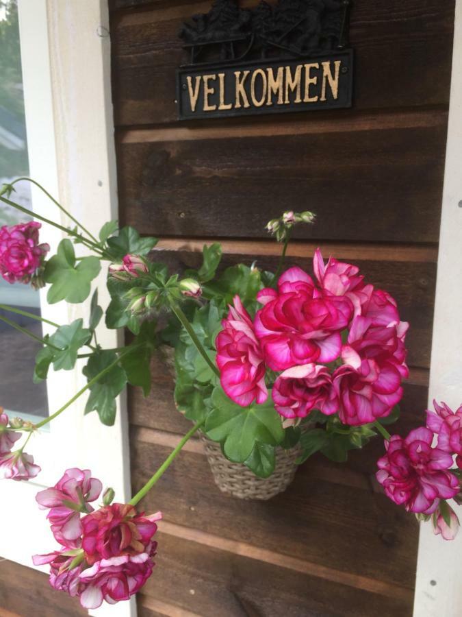 Villa Frydenlund à Balestrand Extérieur photo
